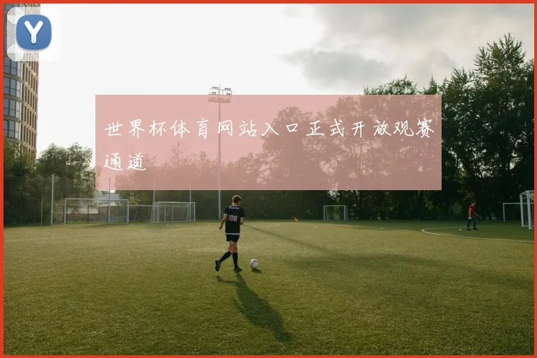 世界杯体育网站入口正式开放观赛通道