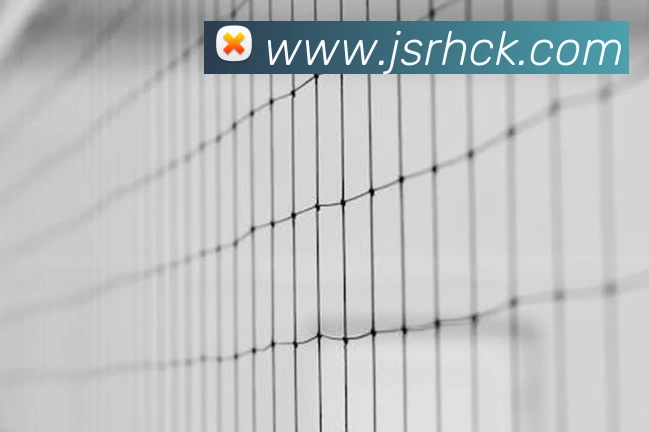 世界杯官网线上平台 - 世界杯(中国)发展历程